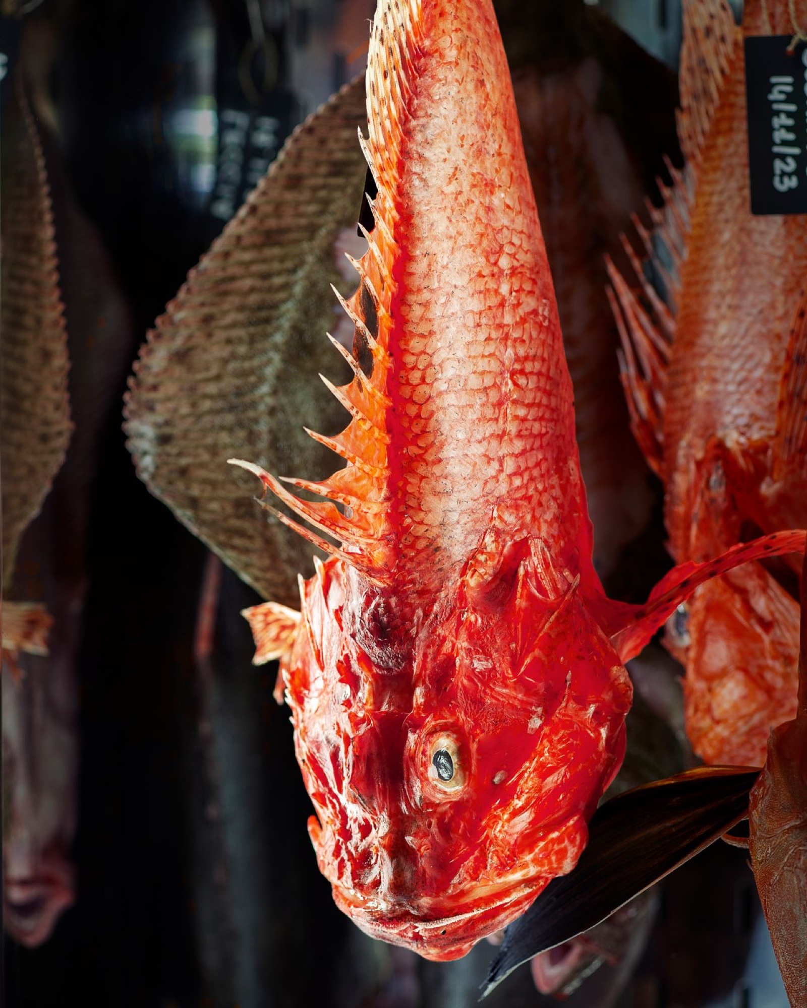 Dettaglio del pesce esposto nella vetrina del ristorante 19
