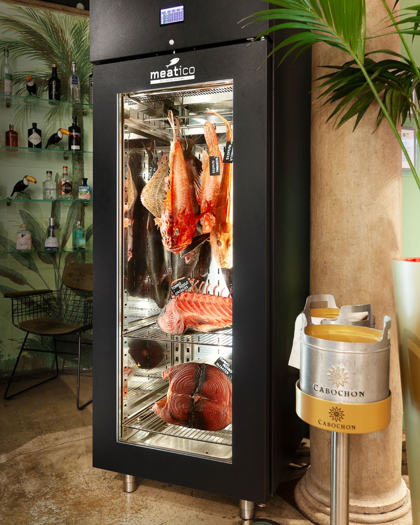 Vetrina refrigerata per il pesce negli interni del ristorante 19